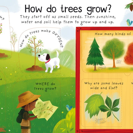 Lift-the-flap First Questions and Answers: Why do we need trees? - Carte cu clapete
