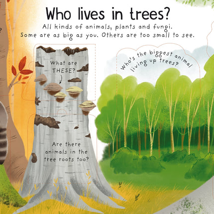 Lift-the-flap First Questions and Answers: Why do we need trees? - Carte cu clapete