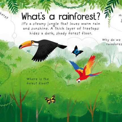 Lift-the-flap First Questions and Answers: Why do we need trees? - Carte cu clapete