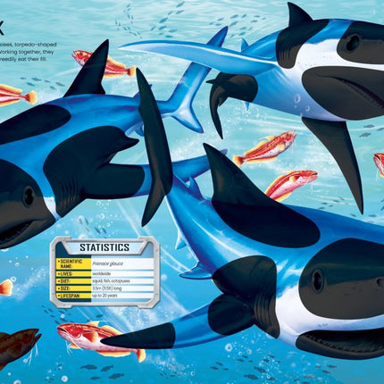build your own sharks sticker book - sectiune din interiorul cartii cu rechini - miniLama