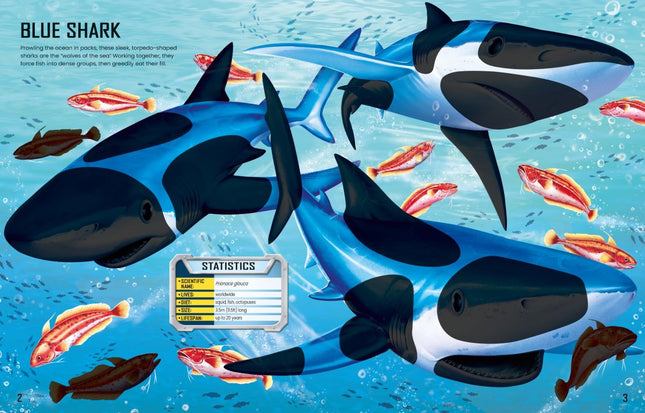 build your own sharks sticker book - sectiune din interiorul cartii cu rechini - miniLama