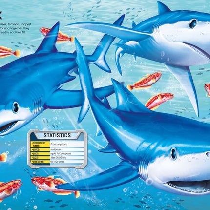 build your own sharks sticker book - sectiune din interiorul cartii cu rechini cu stickerele lipite - miniLama