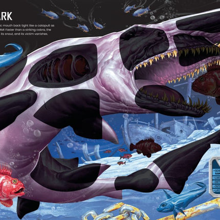build your own sharks sticker book - sectiune din interiorul cartii cu monstri marini - miniLama