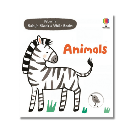 ilustratii cu zebra si o vrabiuta pe fundal alb