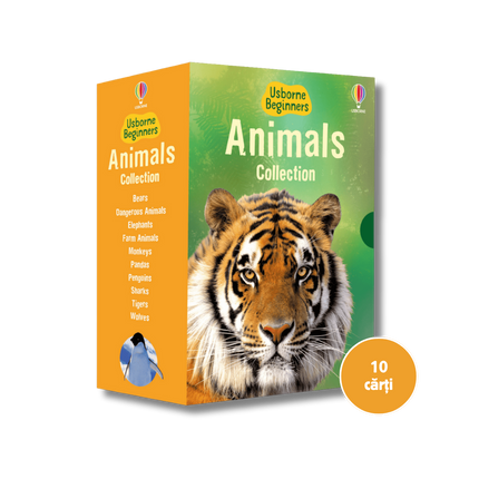 Box set of 'Animals' collection books by Usborne on a white background