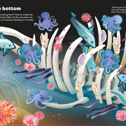 A patra pagina a cartii Big Sticker Book Weird Deep Sea Creatures