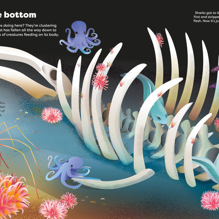 A treia pagina a cartii Big Sticker Book Weird Deep Sea Creatures