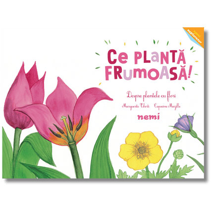 coperta cu flori colorate ilustrate
