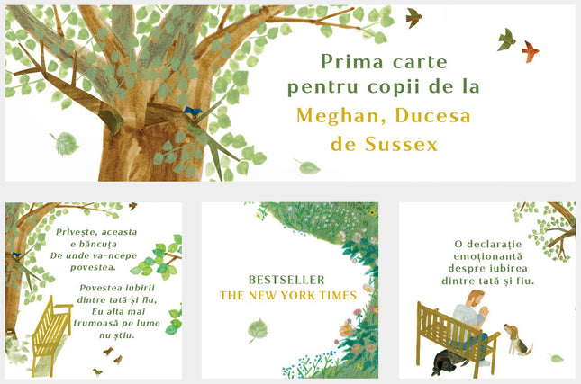 Băncuța - Poveste în limba română