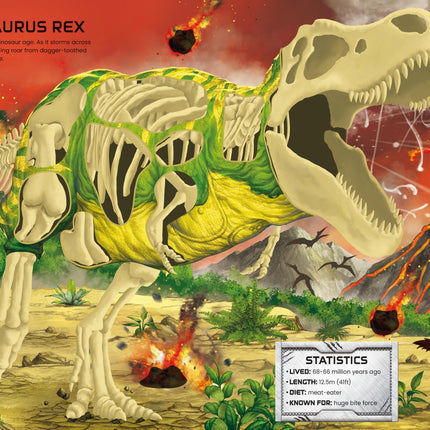 A patra pagina cartii Build Your Own Dinosaurs and T. Rex