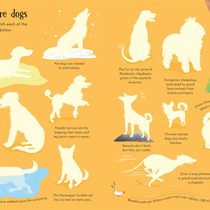 A cincea pagina a cartii Dogs and Puppies