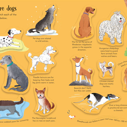 A sasea pagina a cartii Dogs and Puppies