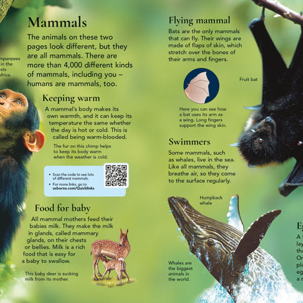 A doua pagina a cartii First Encyclopedia of Animals