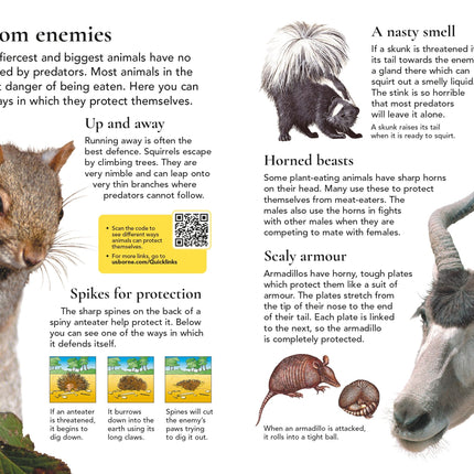 A patra pagina a cartii First Encyclopedia of Animals