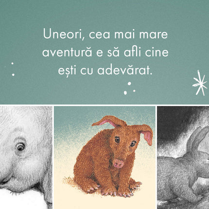 Furnicarul care voia să se cunoască mai bine - Poveste în limba română