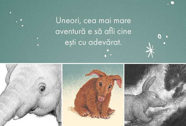 Furnicarul care voia să se cunoască mai bine - Poveste în limba română