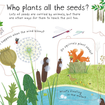 A doua pagina a cartii How do flowers grow?
