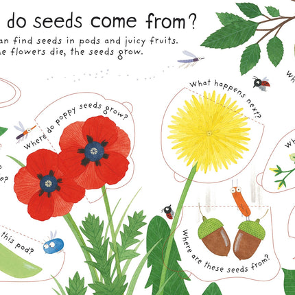 A treia pagina a cartii How do flowers grow?