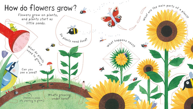 Prima pagina a cartii How do flowers grow?
