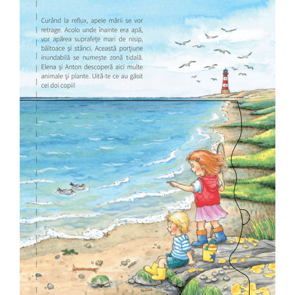 A doua pagina a cartii cu clapete La mare De ce? De ce? De ce?