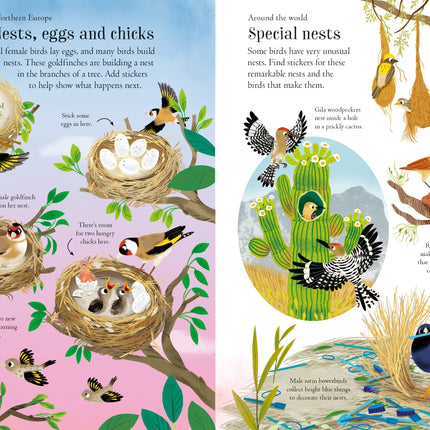 A patra pagina a cartii Little First Stickers Birds
