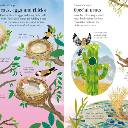 A treia pagina a cartii Little First Stickers Birds