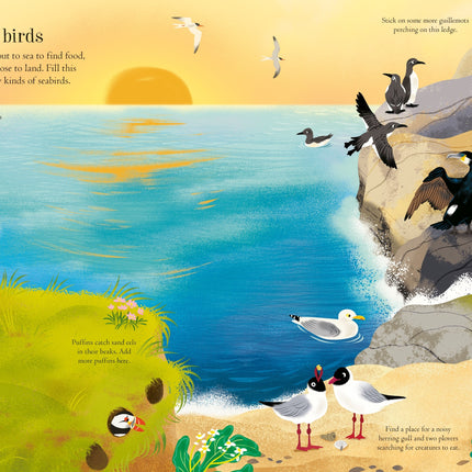 Prima pagina a cartii Little First Stickers Birds