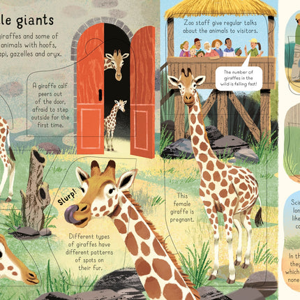 A treia pagina a cartii Look Inside a Zoo