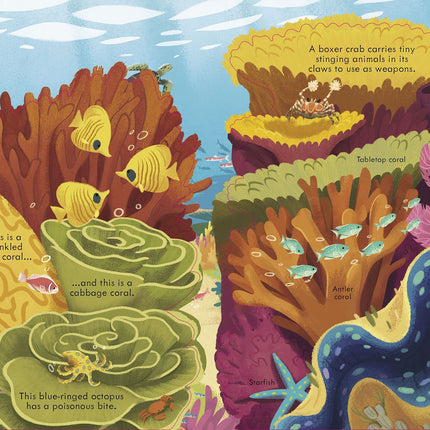 A doua pagina a cartii Look Inside Seas and Oceans