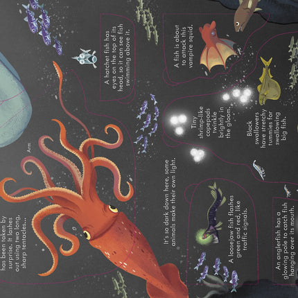 A treia pagina a cartii Look Inside Seas and Oceans