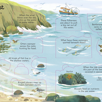Prima pagina a cartii Look Inside Seas and Oceans