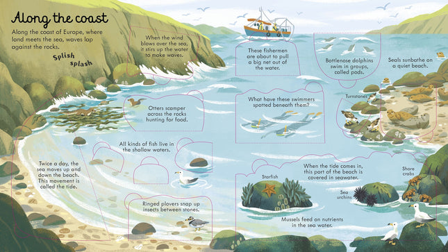 Prima pagina a cartii Look Inside Seas and Oceans