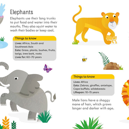 Despre animale in jocul Ludo Board Game Animals - 2