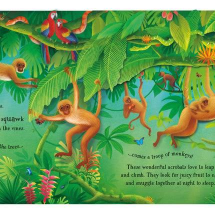 Pop-up maimuta carte Usborne Pop-Up Animals