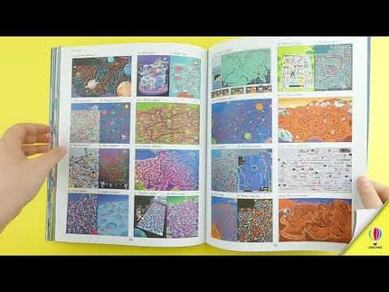 Video de prezentare al cartii Space Maze Book