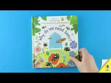 Video de prezentare al cartii Why do we need bees