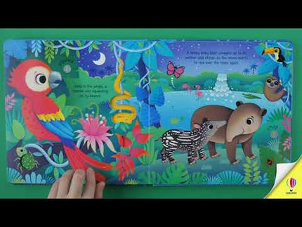 Video cu prezentarea cartii Wild Animals Sound Book