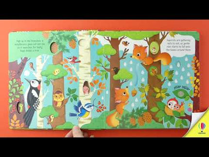 Video cu prezentarea cartii Woodland Sounds
