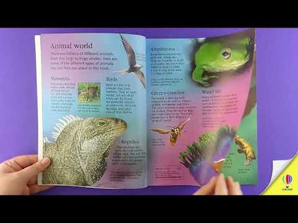 Link de prezentare al cartii First Encyclopedia of Animals