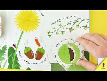 Video cu prezentarea cartii How do flowers grow?