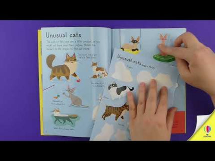Video de prezentare al cartii Little First Stickers Cats and Kittens