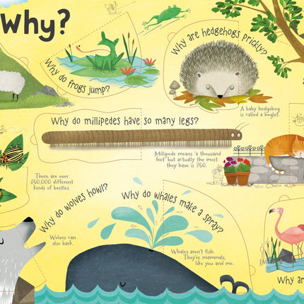 A treia pagina a cartii Questions and Answers about Animals