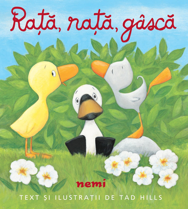 Coperta cartii Rață, rață, gâscă