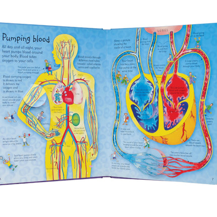 Prima pagina a cartii See Inside Your Body
