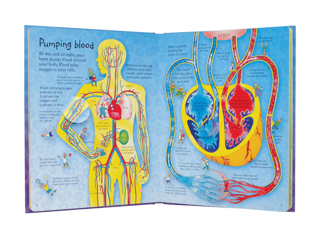 Prima pagina a cartii See Inside Your Body