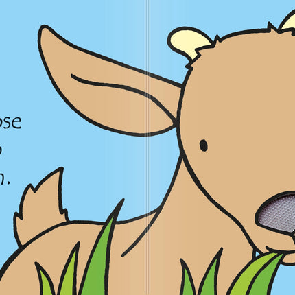 A doua pagina a cartii That's not my goat