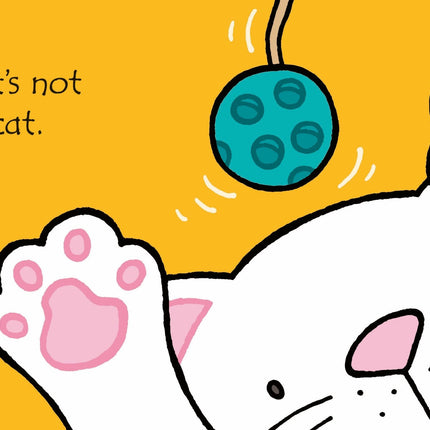 Pagina senzorială cu texturi blăniță carte Usborne That’s Not My Cat