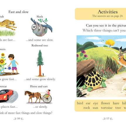 Prima pagina a cartii The Hare and the Tortoise