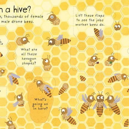 A treia pagina a cartii Why do we need bees