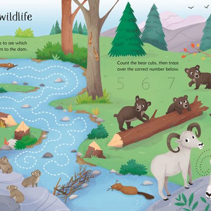 A treia pagina a cartii Wipe-Clean Nature Activities